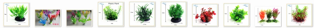 4CM PLANTS.jpg