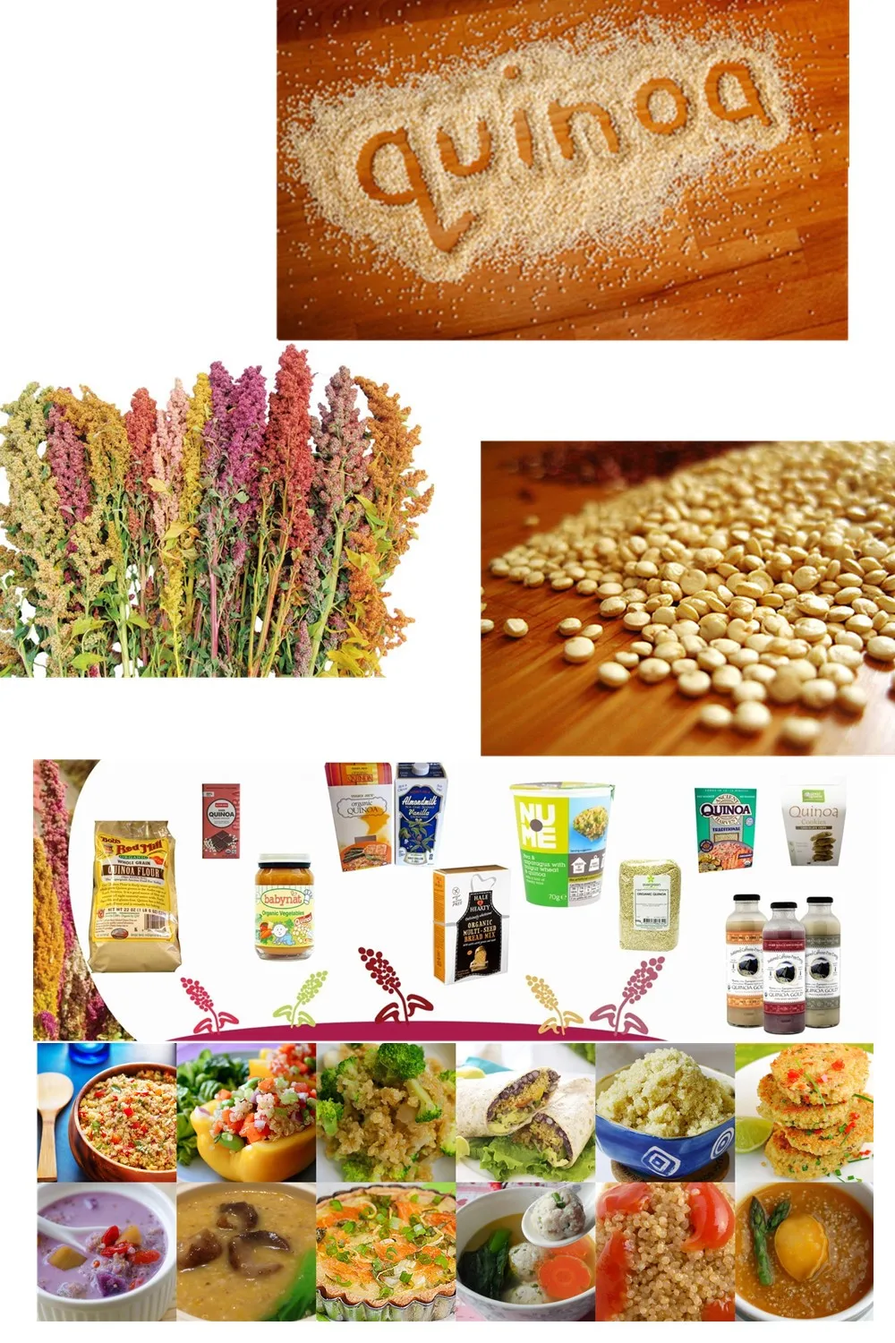 t0199b76fd9f9b56b09 (1)_.jpg