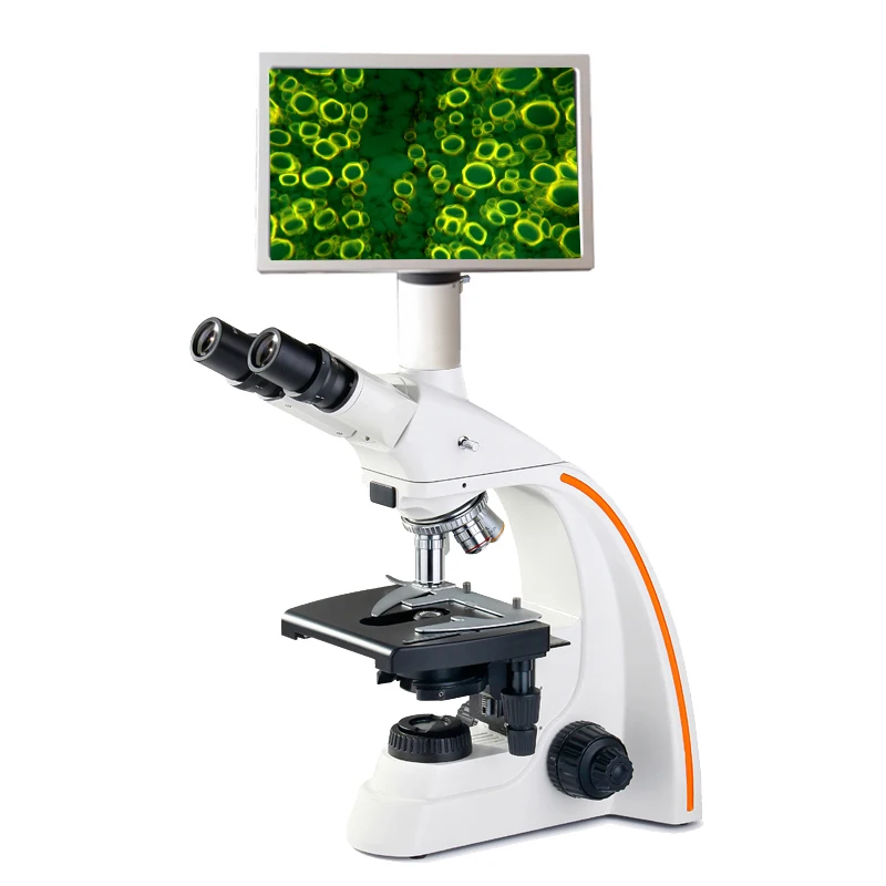 Factory Price Offer Hospital School And Research Institution Binocular Trinocular Digital Microscope Buy Microscope Digital Microscope Binocular Microscope Product On Alibaba Com