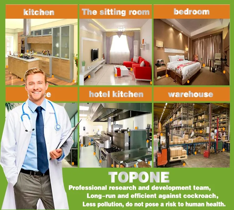 TOPONE Cockroach gel baits syrine free plunger and tip cockroach killer