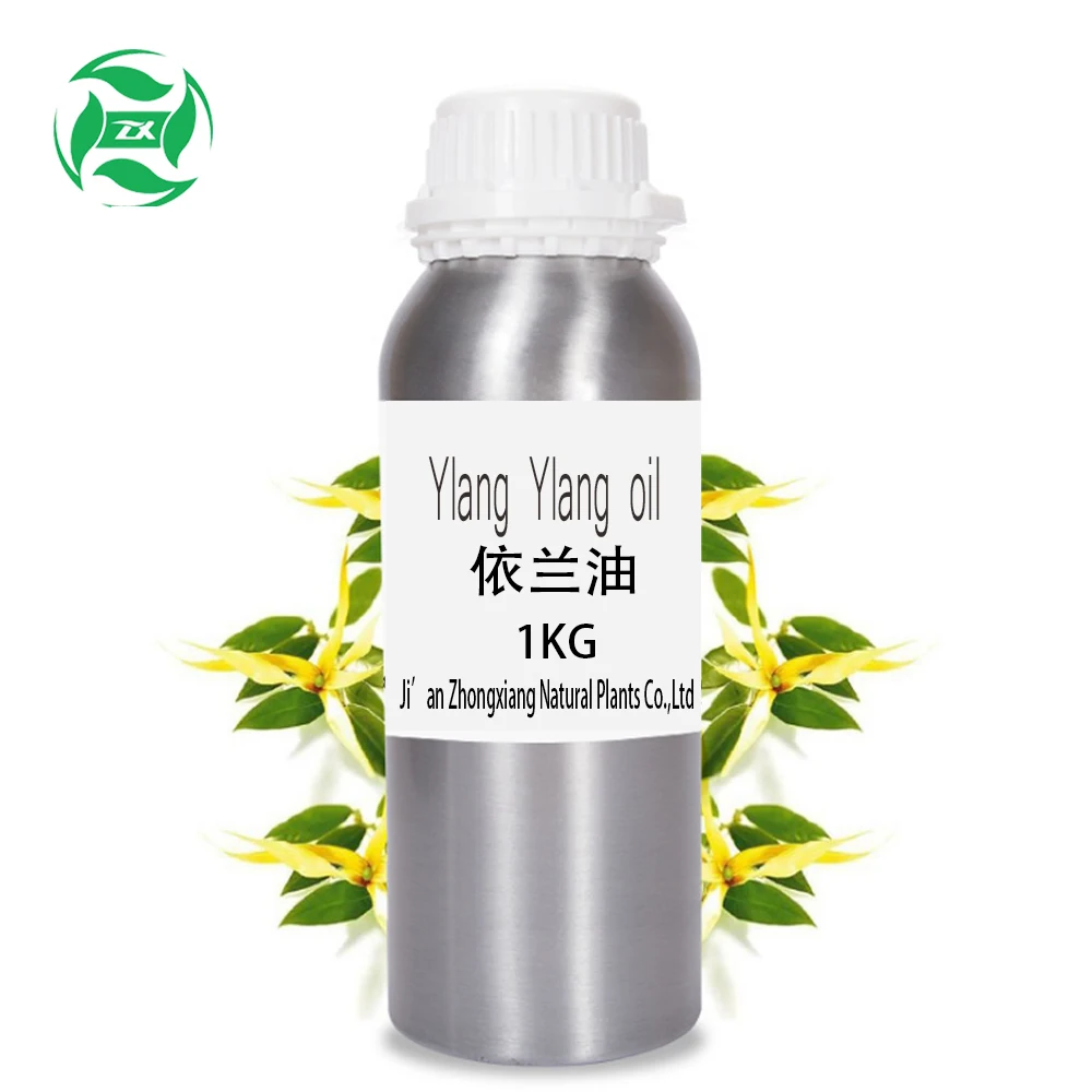 Ylang Ylang Essential Oil 100 Natural Cas 8006813 Aroma With Cheap