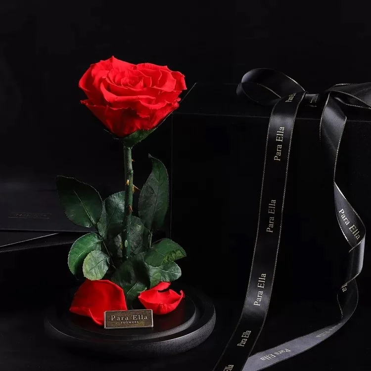 Ibu Romantis Hari Diawetkan Bunga Mawar Tidak Pernah Layu Mawar Di Kubah Kaca Khusus Hari Valentine Hadiah Diawetkan Bunga Buy Hadiah Valentine Diawetkan Bunga Mawar Product On Alibaba Com