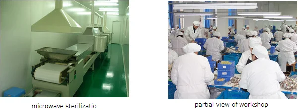 Factory 1.png