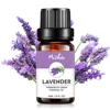 Wholesale OEM Private Label 5ML 10ML Glass Bottle 100% Pure Natural Organic Lavender Essential Oil in Bulk