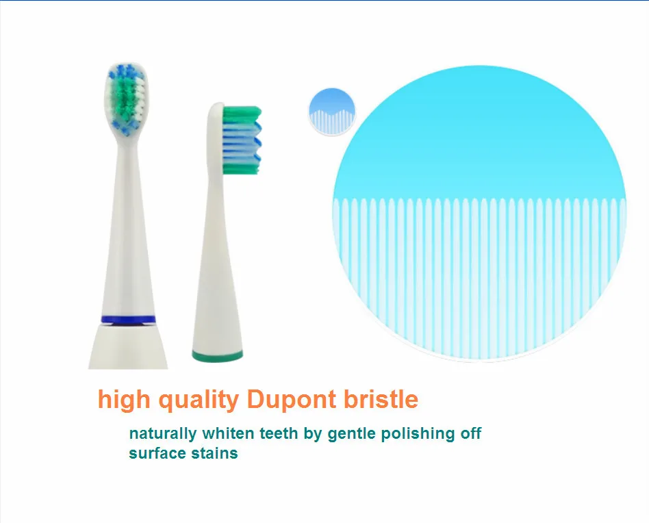 disposable toothbrush heads
