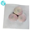 Hot selling cheap logo printable fruit tissue paper clothing wrapping paper