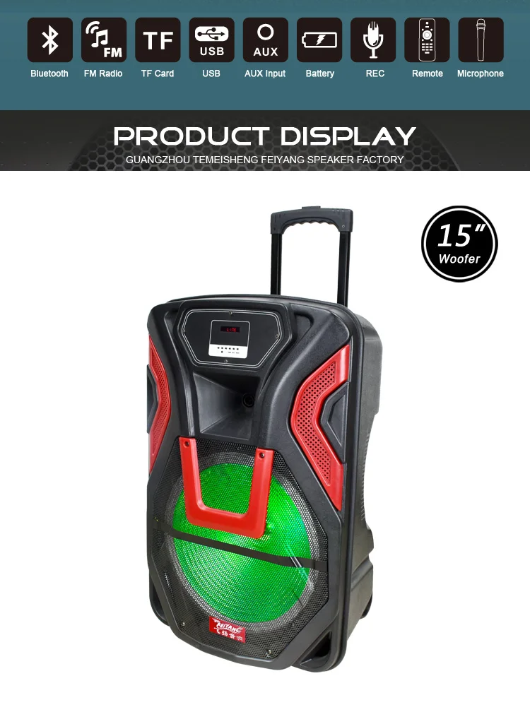 Feiyang Speaker 15 Inch Ibastek Speaker Karaoke Manufacture Temeisheng