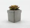 Factory direct cement potted assorted simulation plants for home garden and desk decoration