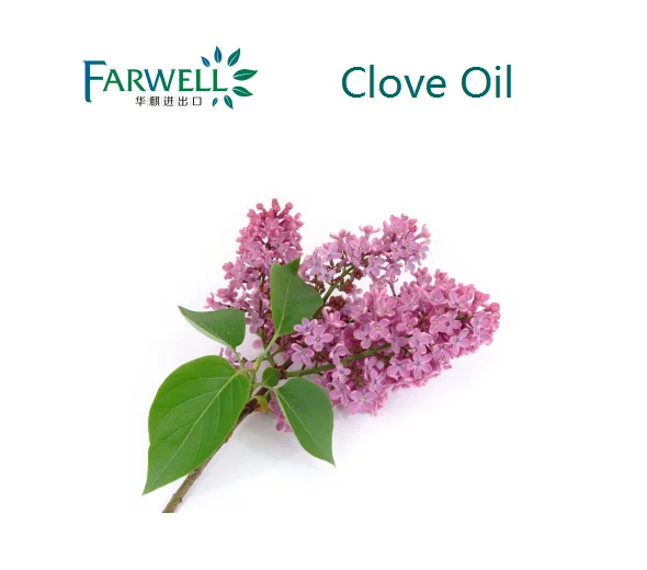 Farwell عالية الجودة زيت القرنفل cas 8000-34-8