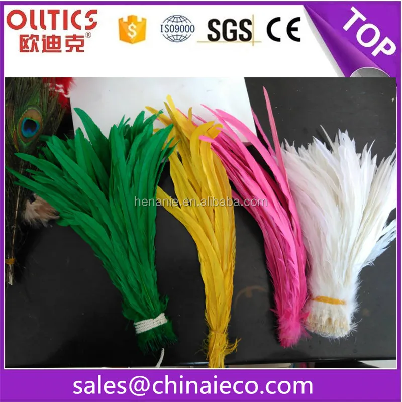 chicken feather3.jpg