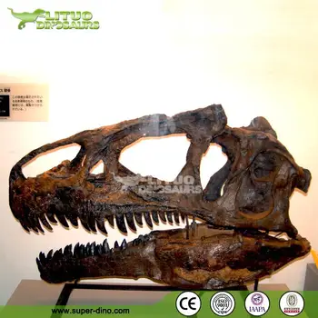 life size dinosaur skull replicas for sale