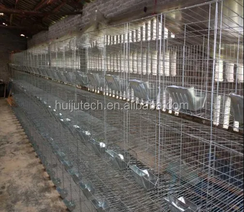 Hot Sale Farm Equipment Rabbit Cages For Kenya,Uganda 