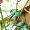 Garden Tree Flower Plant Support weatherproof Green Soft Reusable Fast Easy Fix hook loop Cable Tie Tape