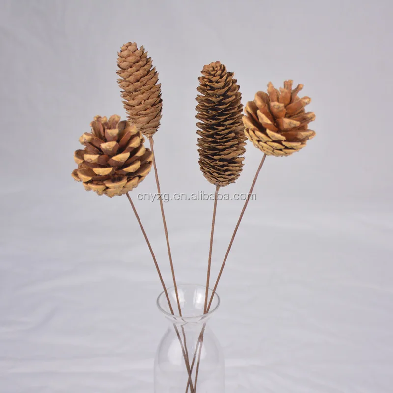 20Pcs Natural Dried flowers Pine cone Acorn Artificial Flower Home Room Decor 