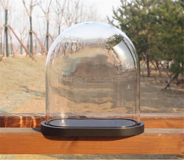 extra large glass cloche with base