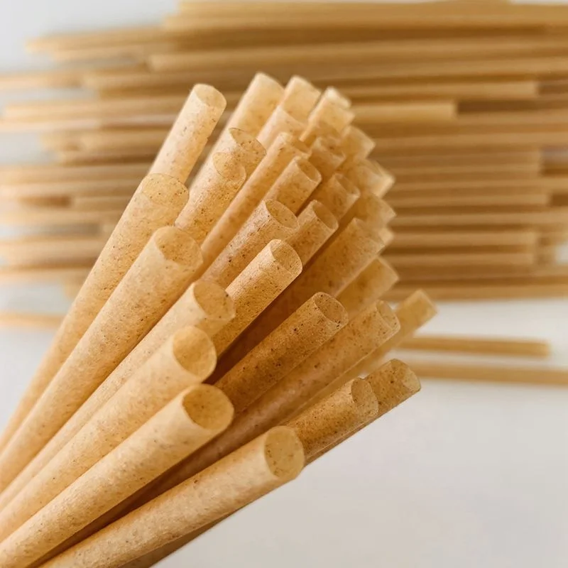 
sugarcane straw with 100% compostable natural material 