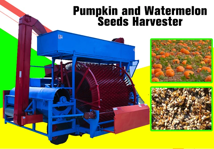 Low Breakage Rate Pumpkin Harvester And Seeds Extractor/pumpkin Seeds