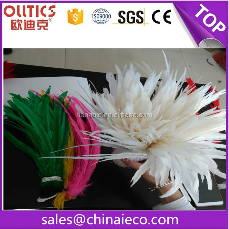 chicken feather5.jpg