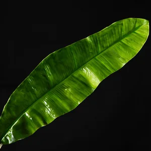 artificial pu banana leaf