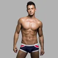 2016 men s swim boxer sexy swimming trunks men s low rise mosaic swim Stripe Shorts