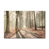 modern nordic decoration home painting The Way in the Forest scenery canvas painting custom wood frame spray painting