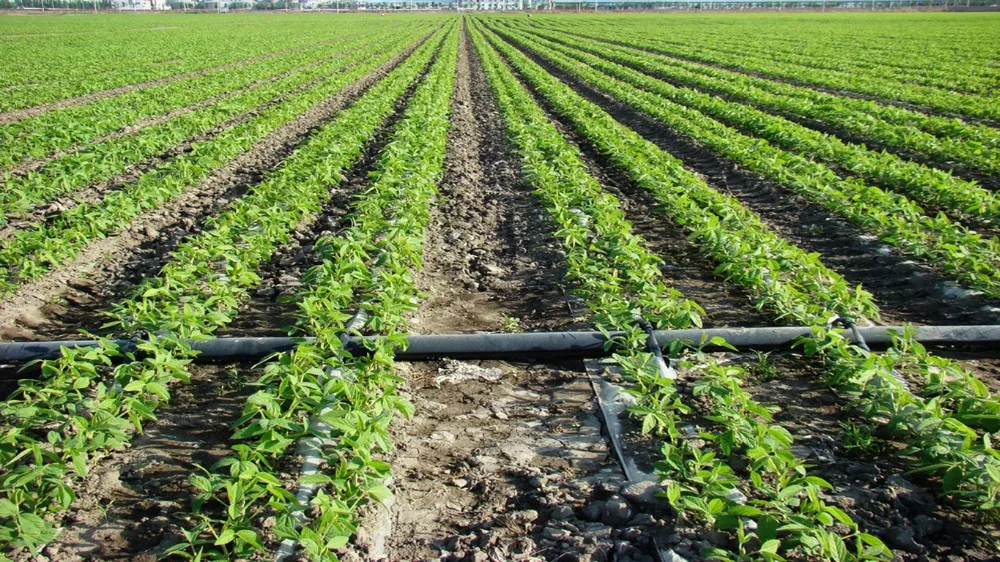 Automatic Farm Irrigation System - Buy Automatic Irrigation System,Drip ...