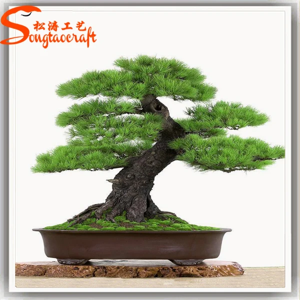 New Design Artificial Pine Tree Japanese Bonsai Trees Bonsai Plant Sale -  Buy Bonsai Plant Sale,Japanese Bonsai Trees,Bonsai Tree Sale Product on  Alibaba.com