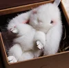 Export saliva mink hair rabbit pendant car ornaments fur bag car accessories lovely dead rabbit factory direct