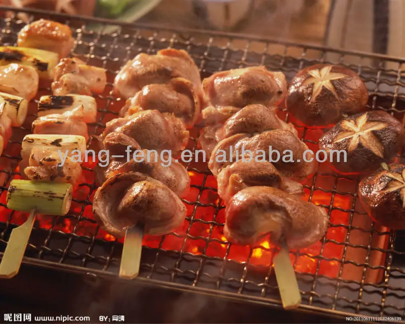 6673121_112132406139_2