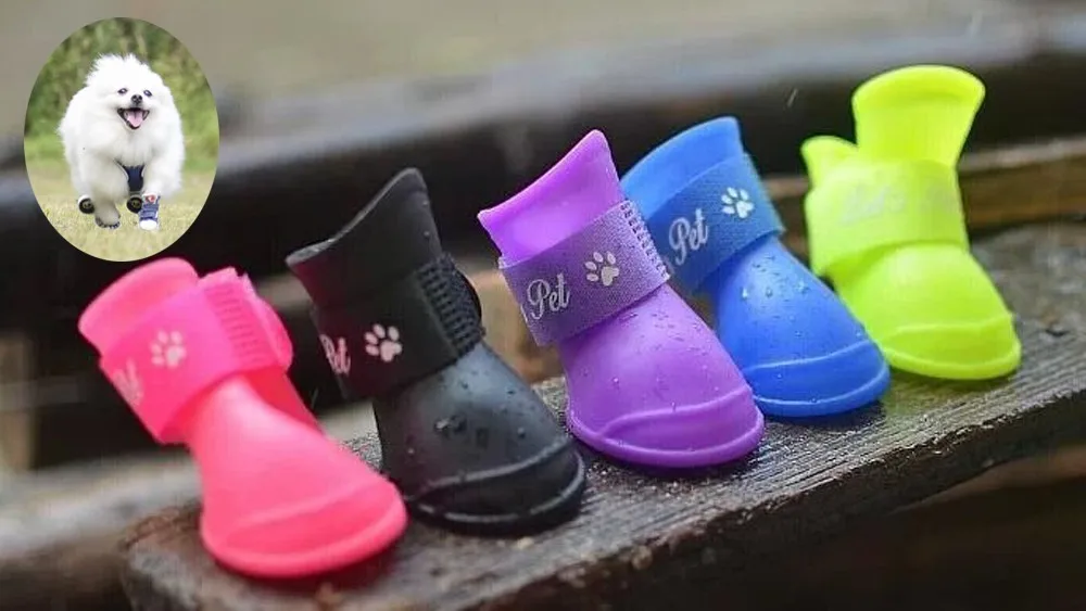 Lovoyager Wholesale Pet Accessories Soft Silicone Waterproof Dog Rain