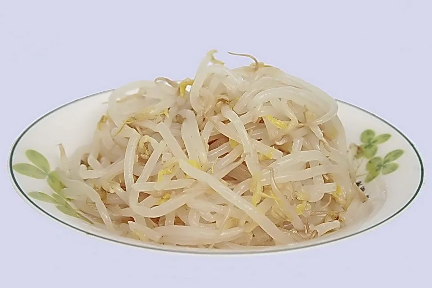 Fresh Canned Bean Sprouts