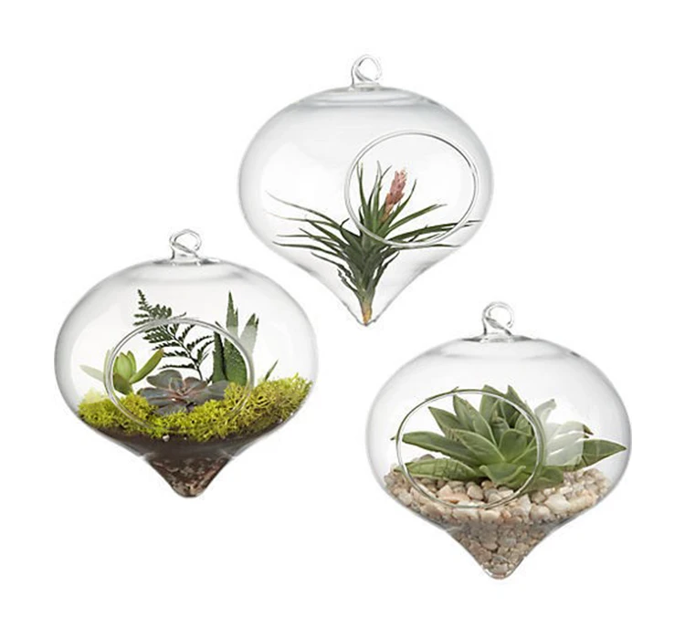terrarium glass hanging