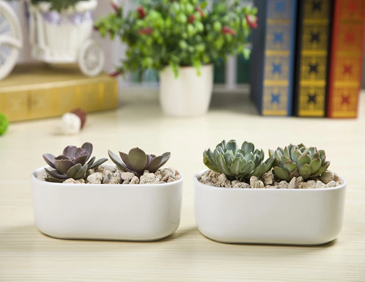 Ceramic Round Planter Pot Modern Indoor Plant Holder Flower Pots For Ceramic Round Planter Pot Modern Indoor Plant Holder Flower Pots For Plants