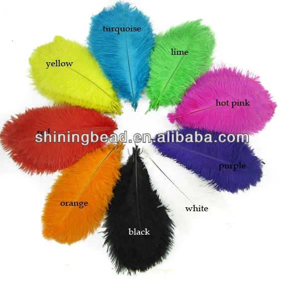 ostrich feather color.jpg