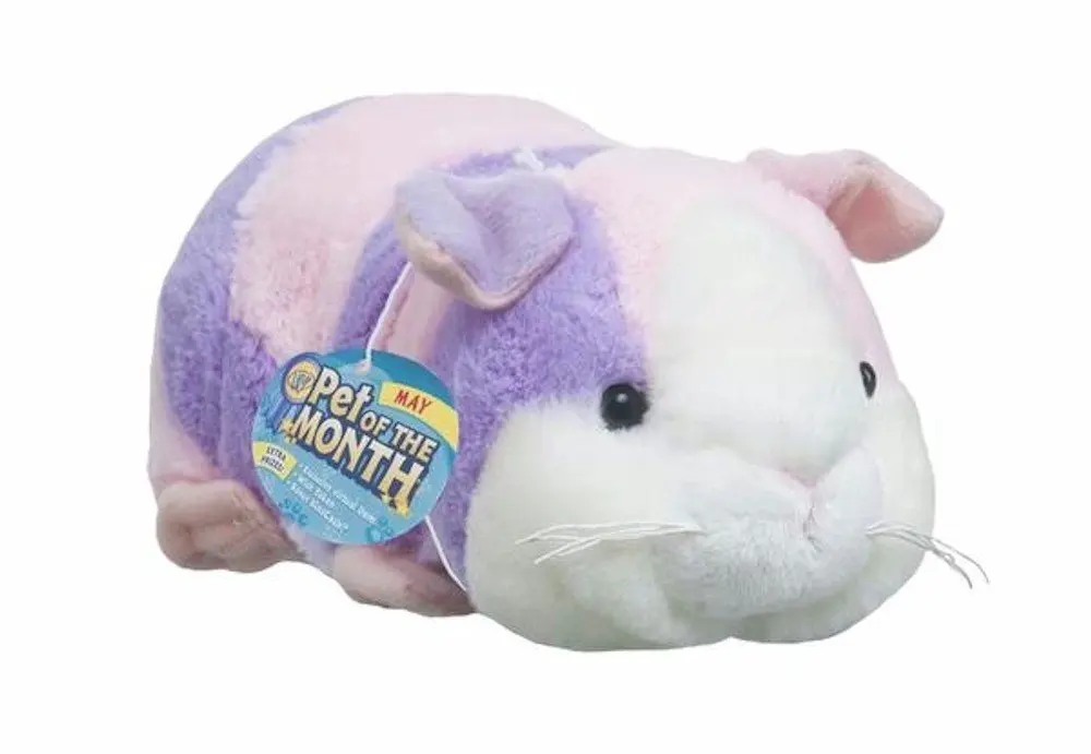 webkinz guinea pig