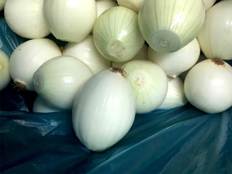 Fresh Whole Peeled Onions Vacuum Packed 10kg Carton Buy Fresh Whole