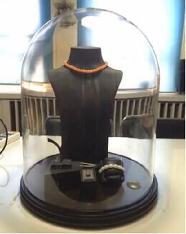 30x30cm New Product Flower Glass Dome Glass Display Dome Jewelry Glass