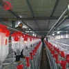 /product-detail/pig-automatic-feeding-drop-feeder-dispenser-for-pig-sow-farm-60722500518.html
