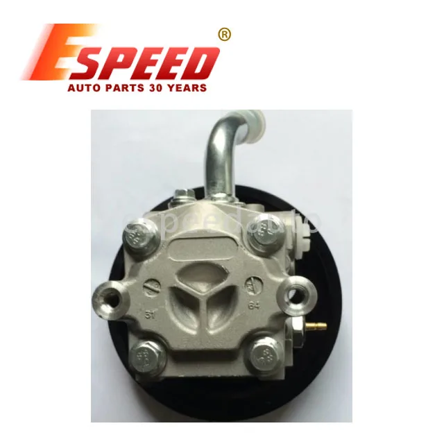 Auto Parts Power Steering Pump 49110-61g11 49110-64g11 49100-66j00 