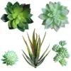 /product-detail/artificial-echeveria-succulent-picks-plant-and-green-4-1-3-wide-for-floral-arrangement-christmas-accents-62175645929.html