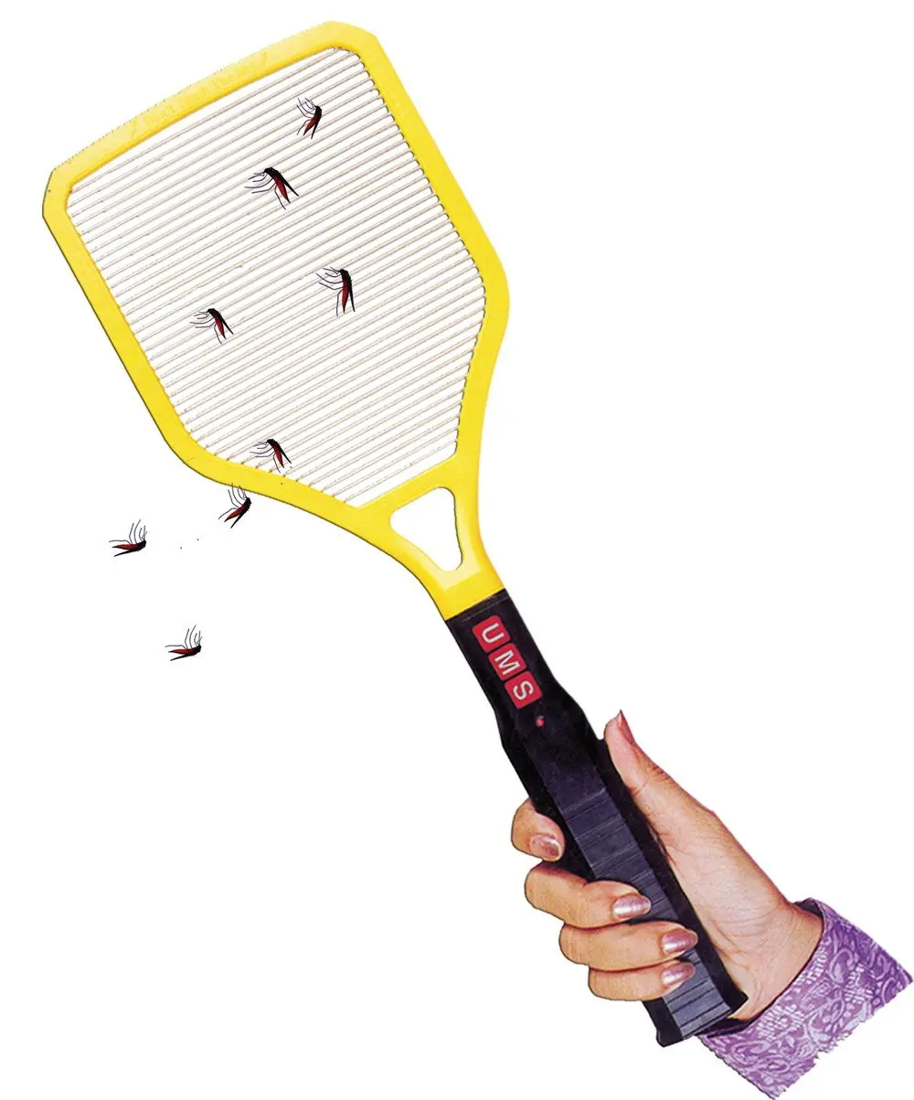 mosquito bat india