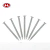 Factory price supply best sales ss concrete nails
