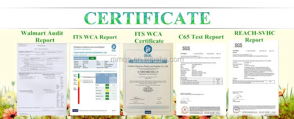 certificate_