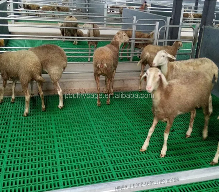 Plastic Slatted Floor For Goat Sheep Farming Buy Plastic Slatted