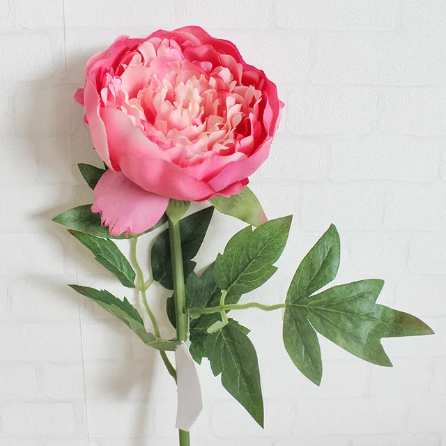 wholesale flowers picture