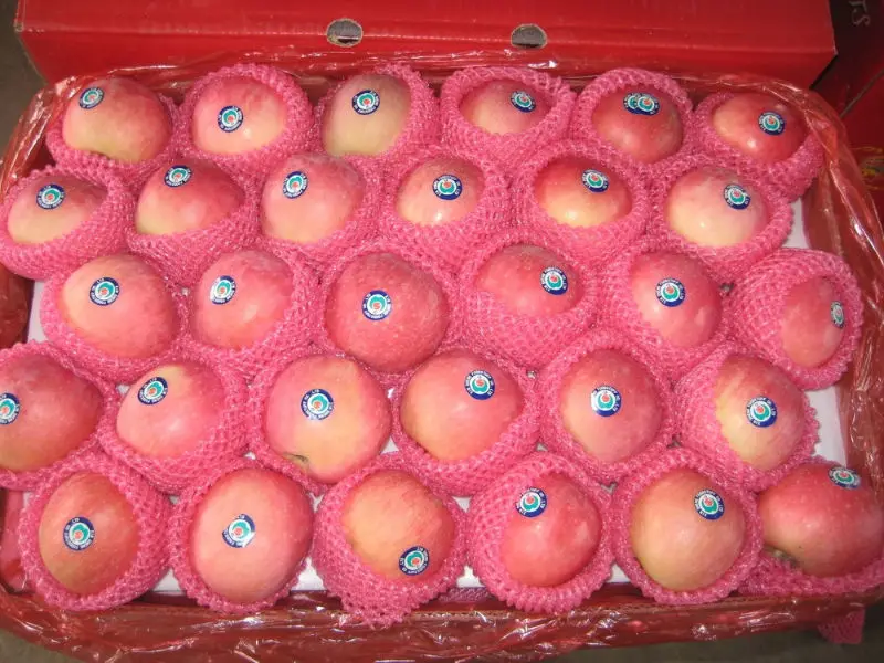 fuji apple