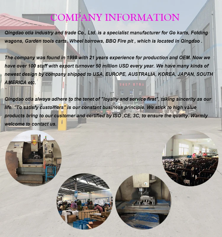 Pedal Engine Capacity Family Kids Car Adult Pedal Racing Go Kart With