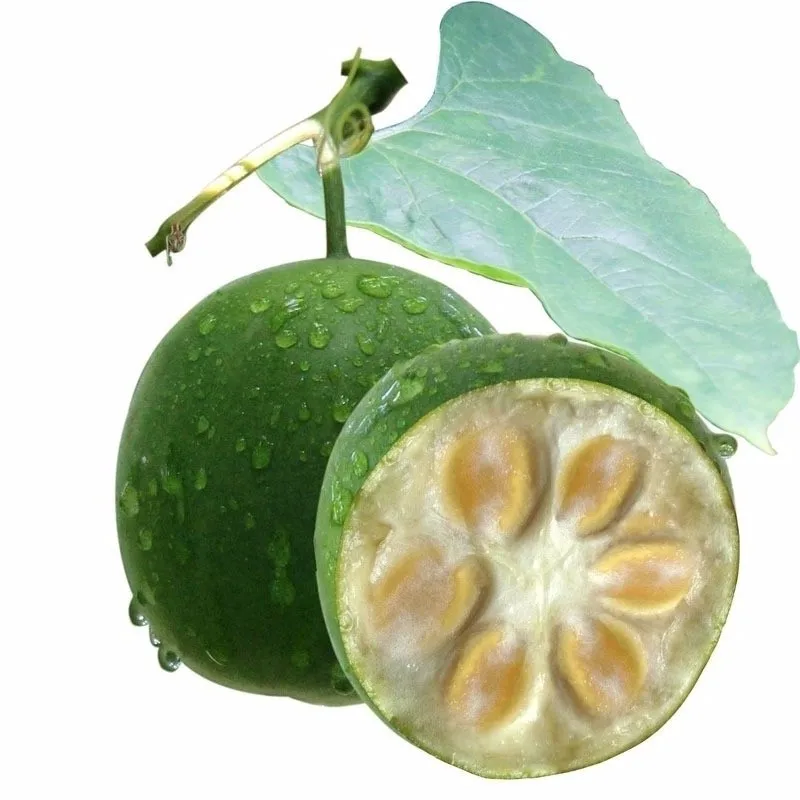 "factory supply bulk monk fruit powder "