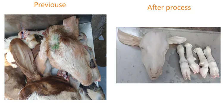 High Quality Stainless Steel Cow Feet Dehair Machine for Slaughterhouse