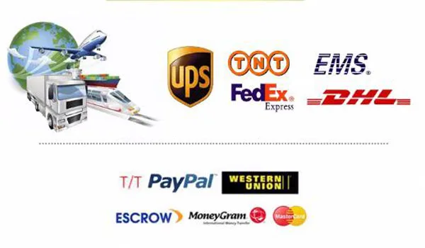 TRANSPORT&PAYMENT.jpg